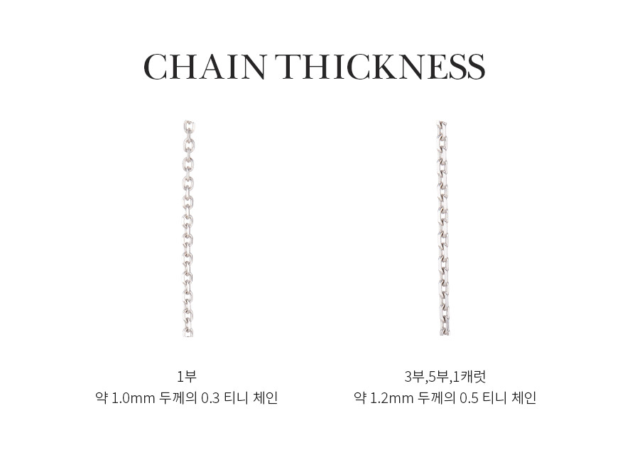 비교컷2