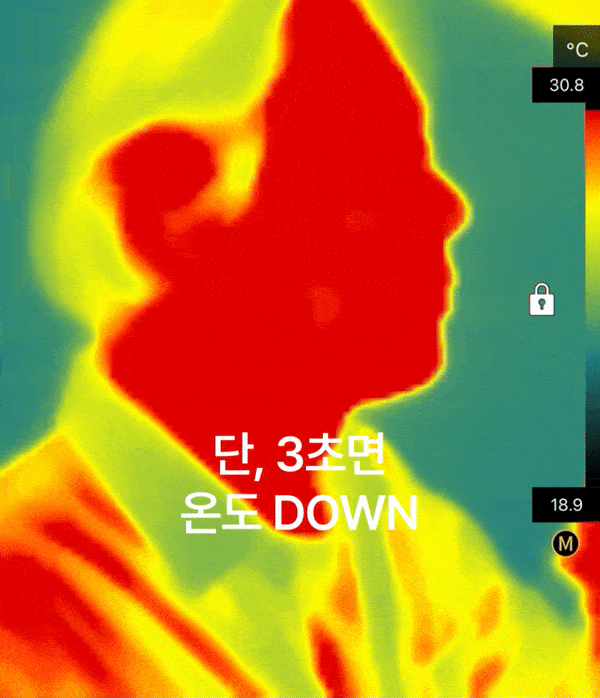 프럭스C_13_2.gif