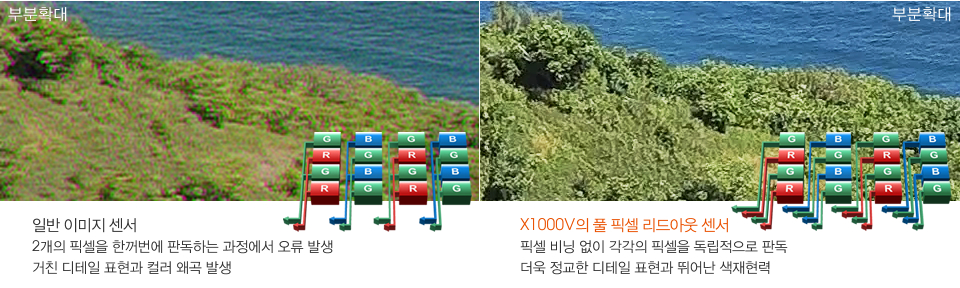 일반 이미지 센서:2개의 픽셀을 한꺼번에 판독하는 과정에서 오류 발생  거친 디테일 표현과 컬러 왜곡 발생/ X1000V의 풀 픽셀 리드아웃 센서: 픽셀 비닝 없이 각각의 픽셀을 독립적으로 판독 더욱 정교한 디테일 표현과 뛰어난 색재현력