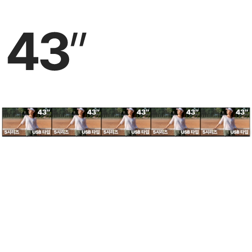 �˿��� RDS5143U ������