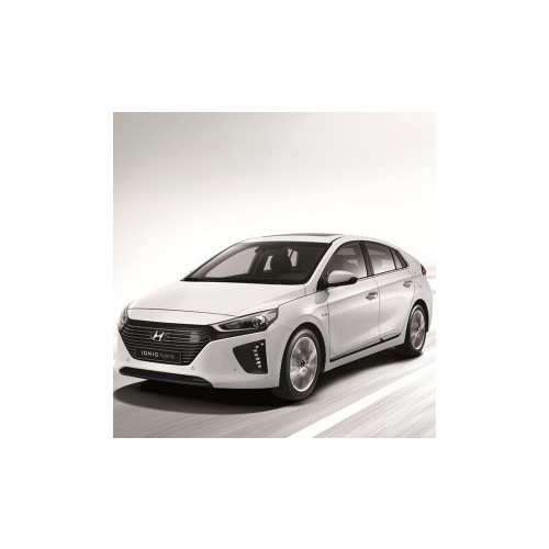 제주 아이오닉렌터카