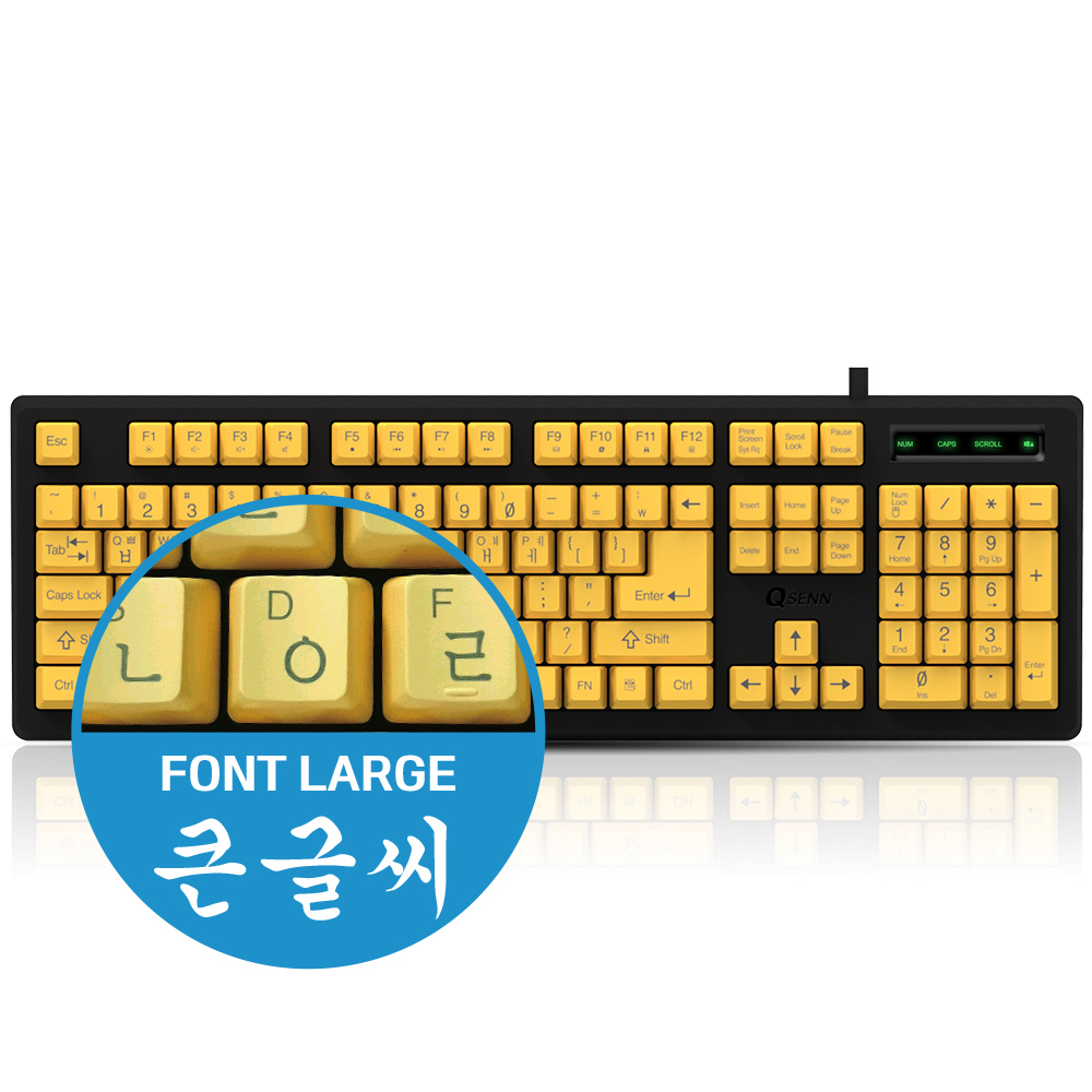 QSENN SEM-DT 큰글씨_이미지