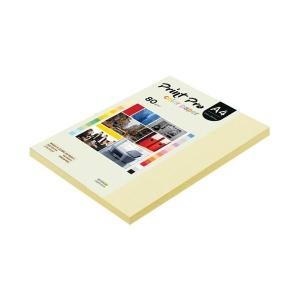 종이문화 프린트 프로 컬러 복사용지 A4 80g (125매)_이미지