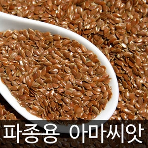 아마씨 아마씨앗 아마 씨앗 파종용 종자용  300알
