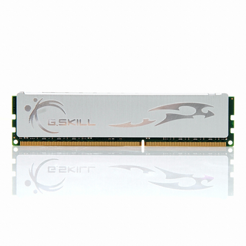 G.SKILL DDR3-1333 CL7 ECO ��Ű�� Ƽ��