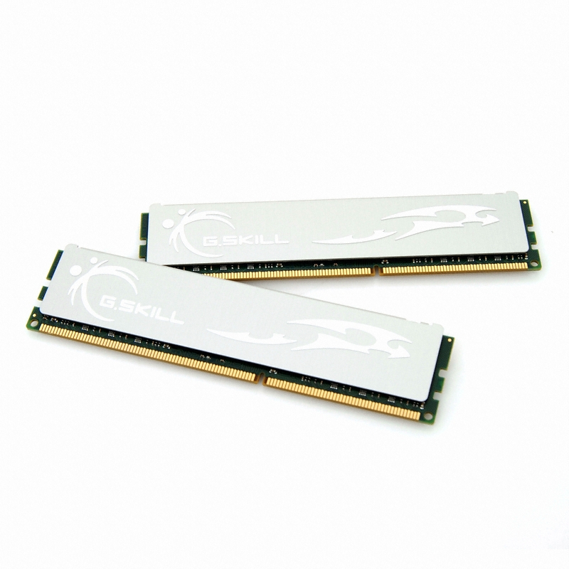G.SKILL DDR3-1333 CL7 ECO ��Ű�� Ƽ��