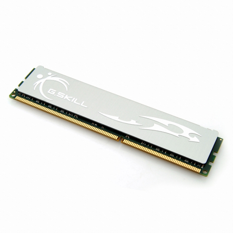 G.SKILL DDR3-1333 CL7 ECO 패키지 티뮤 (4GB)_이미지