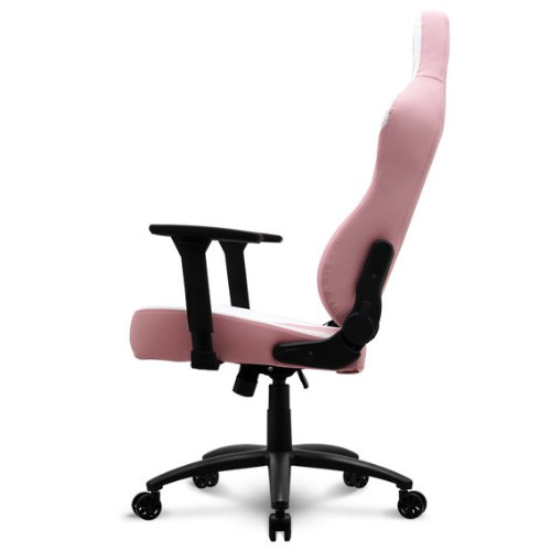�����Ƚ����̹� GC005 ��ũ ���̹� ����