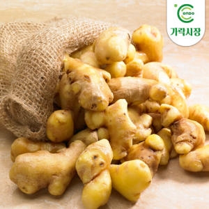 온도씨 가락시장 생강 1kg (1개)_이미지