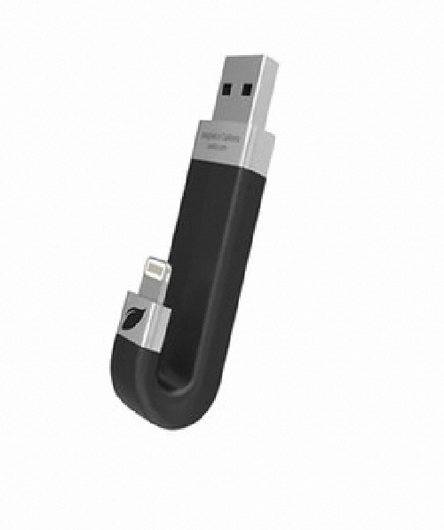 leef iBRIDGE USB DRIVE 해외구매 (64GB)