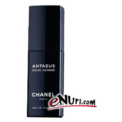  샤넬 안티우스(스프레이) EDT [100ml]