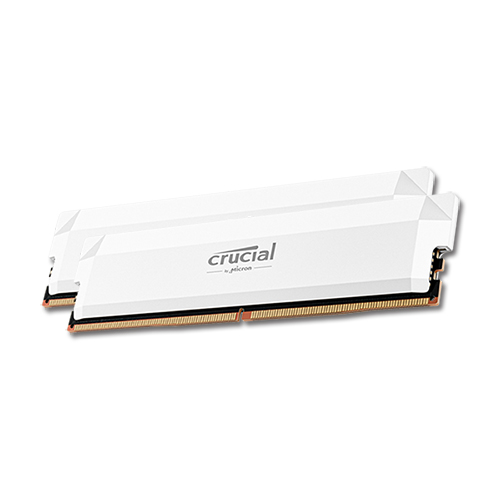 마이크론 Crucial DDR5-6400 CL38 PRO Overclocking White 패키지 아스크텍 (32GB(16Gx2))_이미지