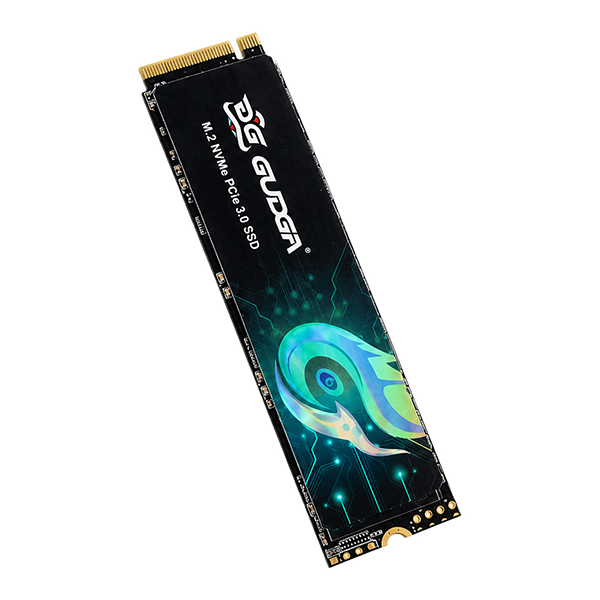 GUDGA GVR M.2 NVMe
