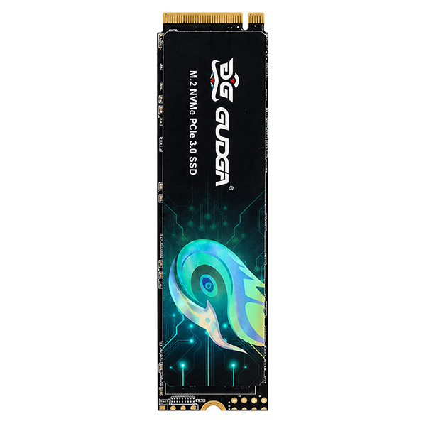 GUDGA GVR M.2 NVMe