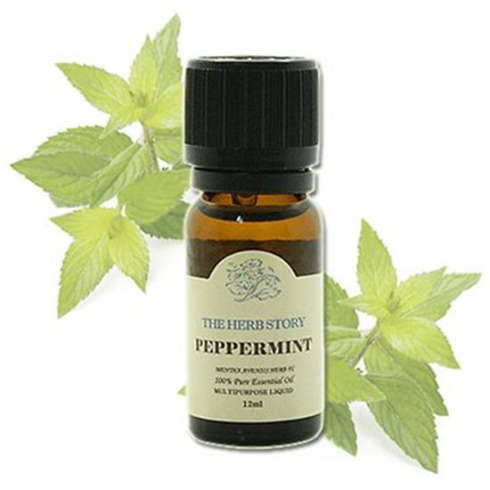 더허브스토리 페퍼민트 아로마 에센셜 오일 12ml (1개)