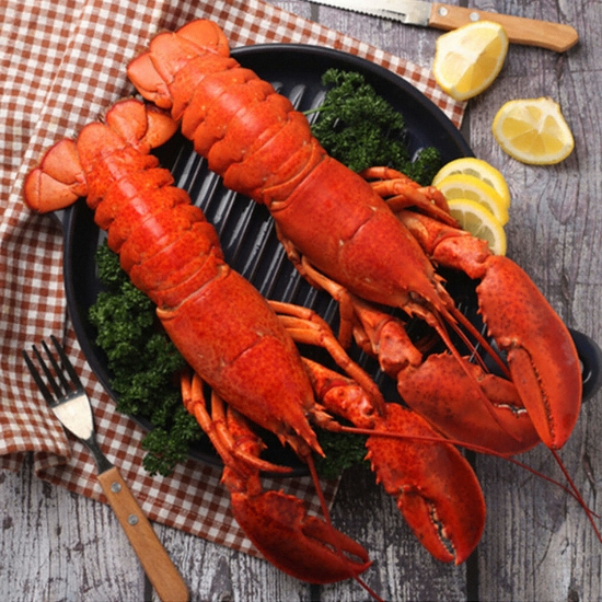 �شٿ� �ڼ� ������ 4��(����) 2kg����