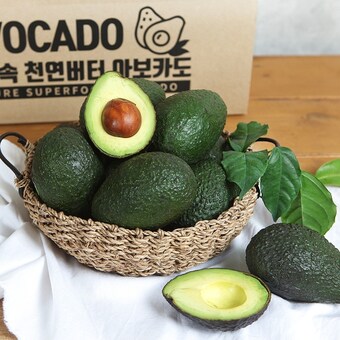 맛있는가 <b>아보카도</b> 중과 10과