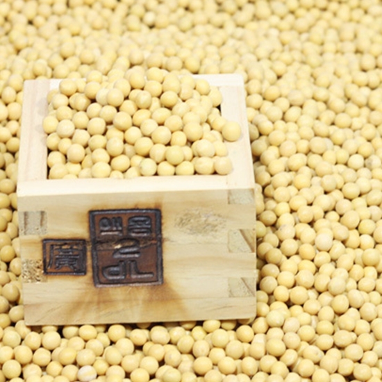 유신상사 제주산 햇콩 콩나물콩 1kg