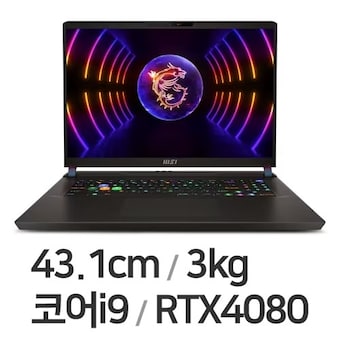 MSI GP시리즈 Vector GP78 HX 13VH-i9 QHD WIN11 64GB램