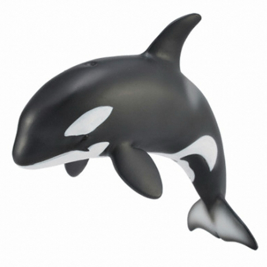 �÷�Ÿ �ԾƱ� ������