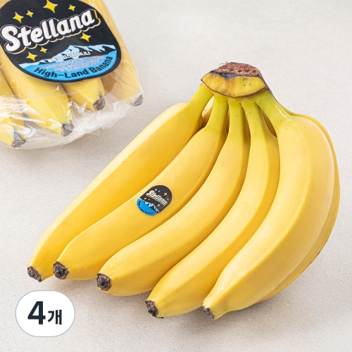 스텔라나 고산지 바나나 1.2kg (4개)_이미지