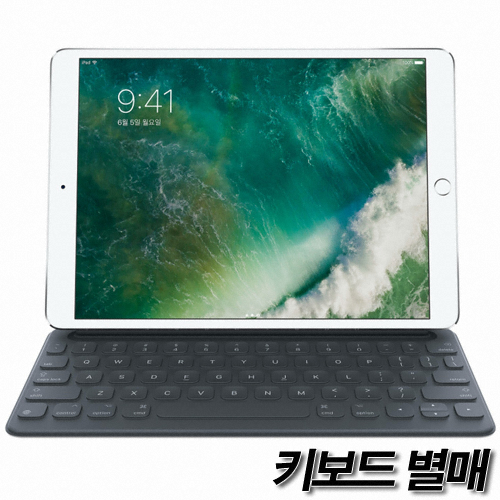 APPLE iPad Pro 10.5 Cellular 중고 (256GB)_이미지