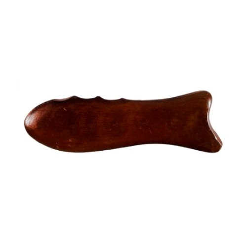 옻 장미목 나무 괄사 D_이미지