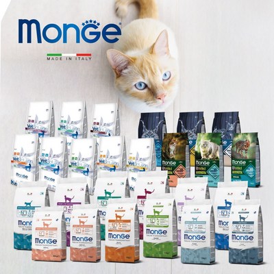 몬지 캣 비와일드 로우그레인 어덜트 멸치 40g (1개)