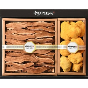 형지표고버섯 영지버섯 상황버섯 명품3호 버섯 선물세트_이미지