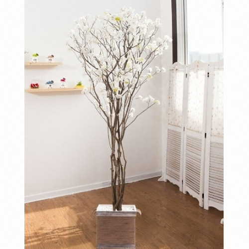 플라워트리 라인-지니아나무화분set 210cm  조화  FREOFT이미지입니다. 누르면 해당 게시물로 새창이동합니다.