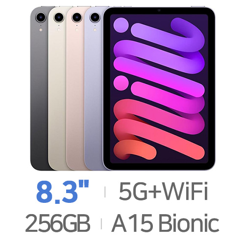 Apple 2021 iPad mini 6���� Cellular 256GB