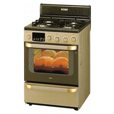 LG전자 G-300_이미지