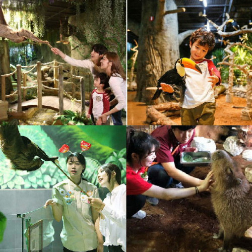 ���ַ��ַ� 4�� �̿�� (����)