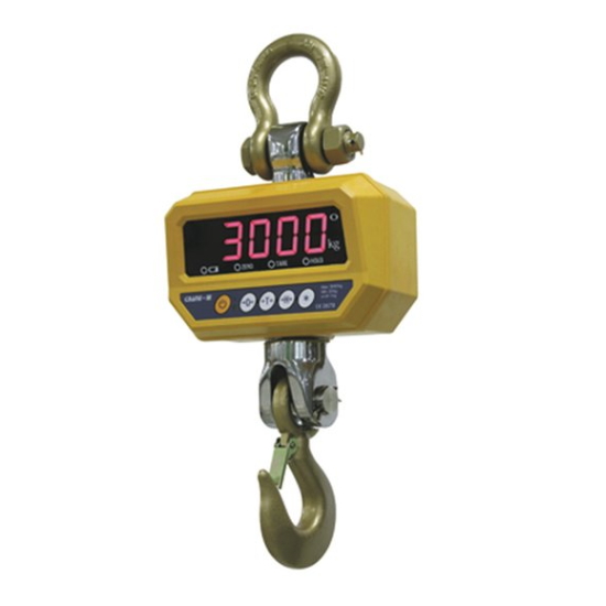 AND 매달림 전자저울