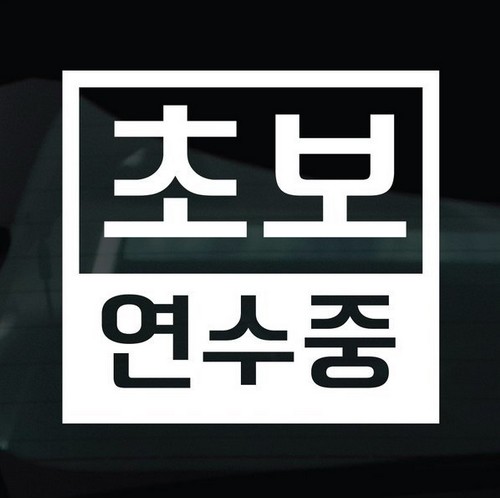 디자인황소 초보운전 스티커 03 초보 연수중