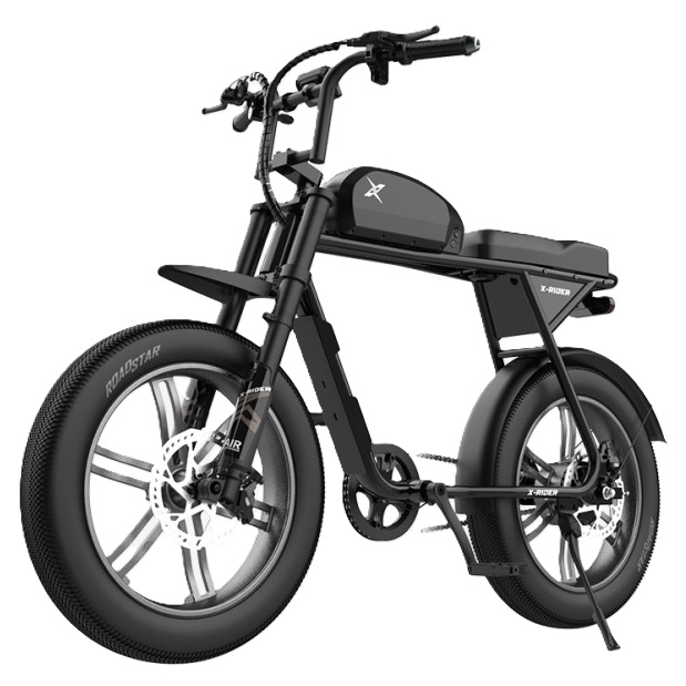 엑스라이더 X100 GT (2027년형) (48V, 20Ah)