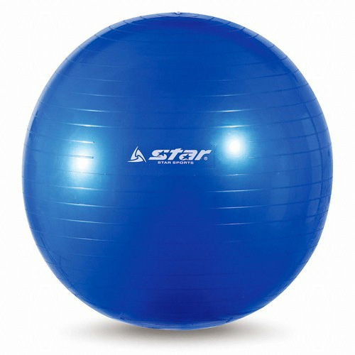 신신상사 스타스포츠 짐볼 EB240-07 55cm