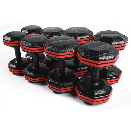 레드라인 8각 아령