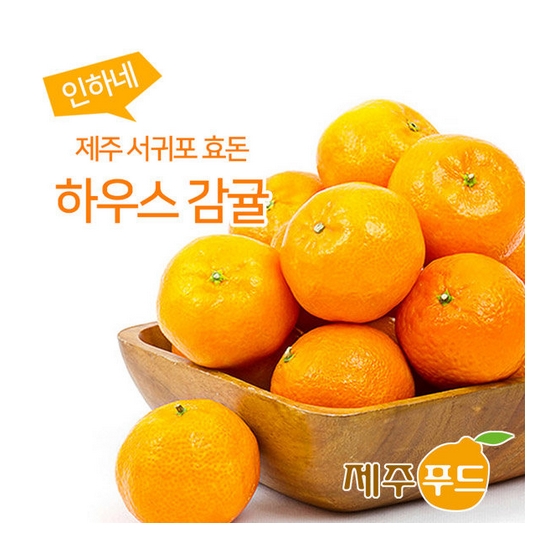 인하네 제주 효돈 하우스감귤 45~60개(과) 3kg (1개)_이미지