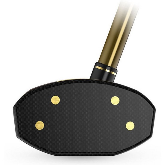 ���̺�� DP101