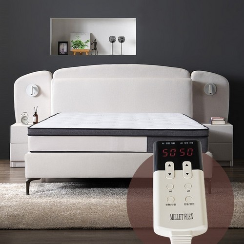 ���͵��� ȣ�ڶ��� ħ�� Q+������Ź2��