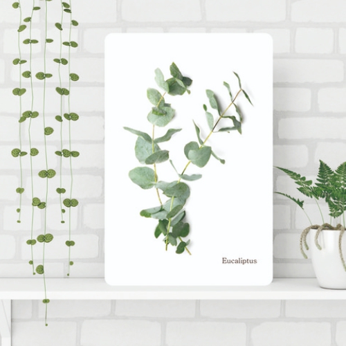 가온 유칼립투스B 접이식 액자테이블 (60x40cm)