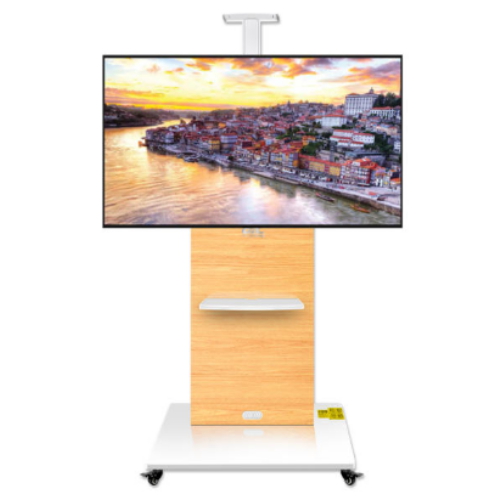 �����̿� T100