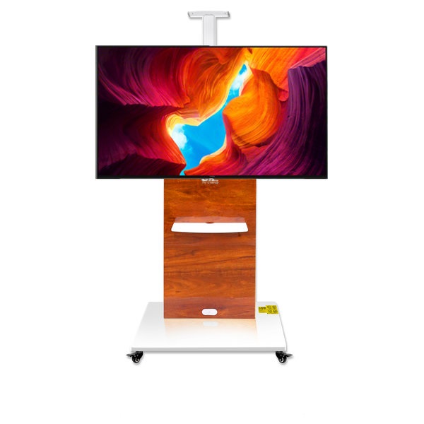 �����̿� T100