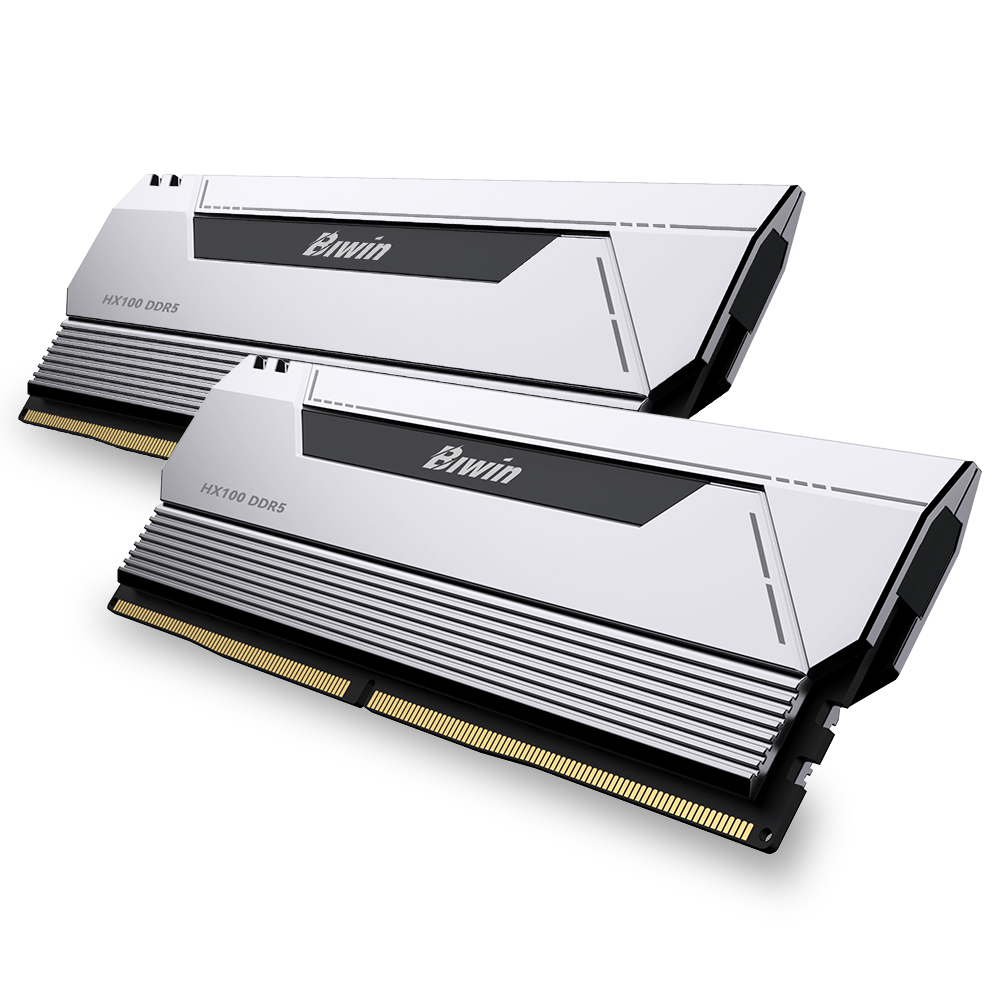BIWIN DDR5-6000 CL30 HX100 �ǹ� ��Ű��