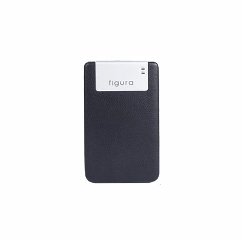 Ʈ�νý����� Figura ����