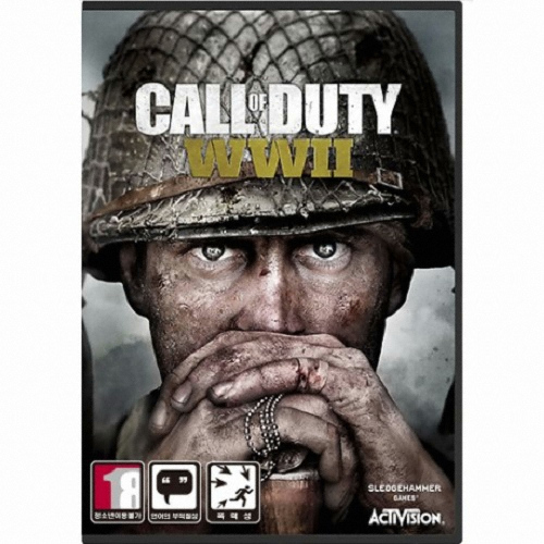 액티비전 콜 오브 듀티: 월드 워 2 PC (스팀 코드)