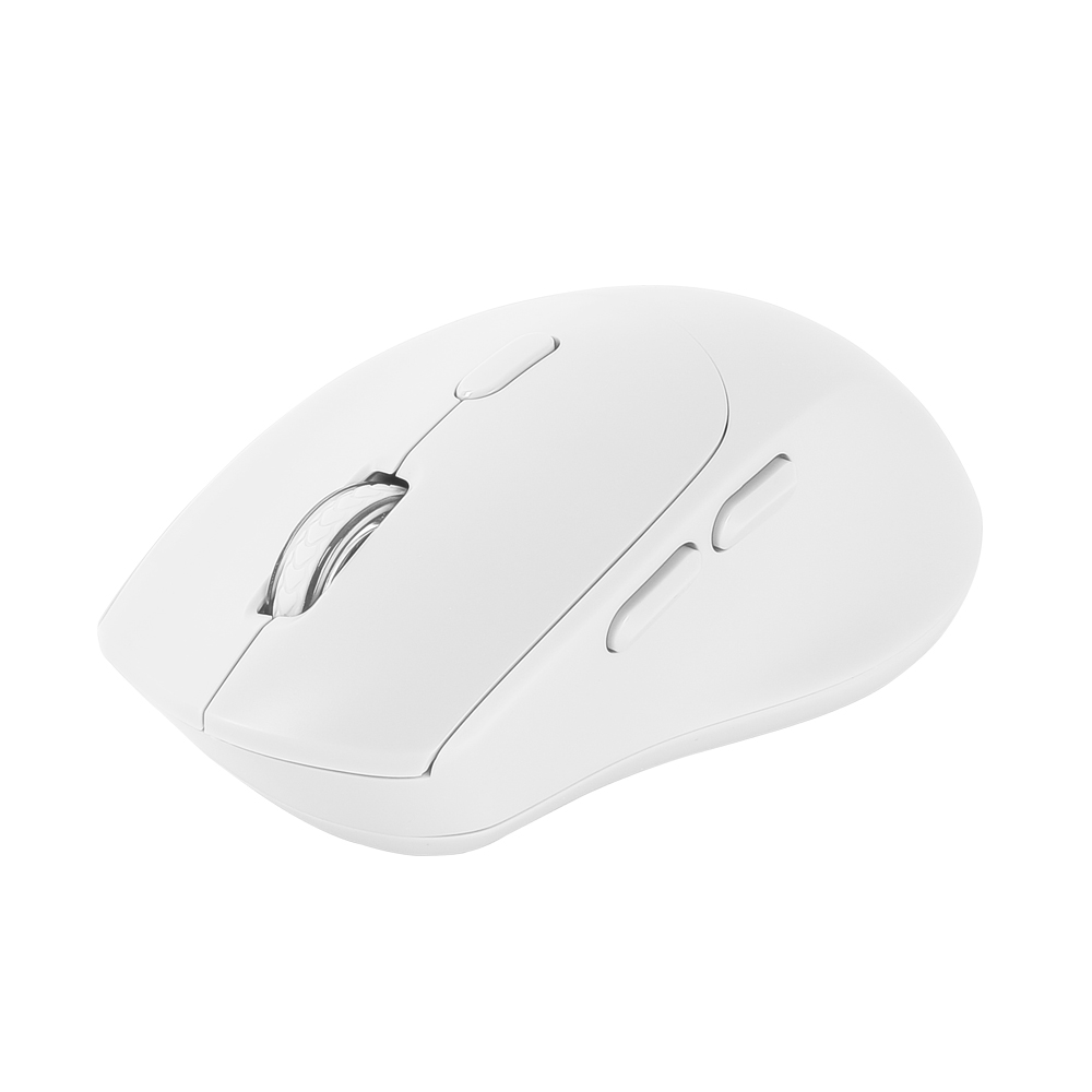 ��Ŭ��Ŀ OFFICEPRO �������� �������� ���� ��������