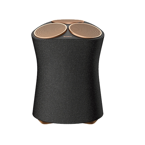 SONY SRS-RA5000 (해외구매)_이미지