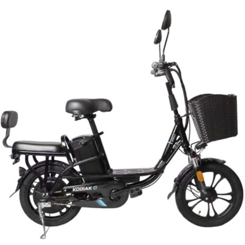 ���潺���� �ڵ�� S16 (2026����)